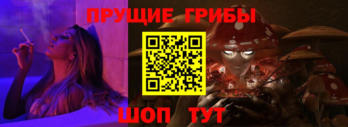 Псилоцибиновые грибы Psilocybe  Вход с VPN  Красноярск 